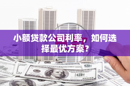 兴安小额贷款公司利率，如何选择最优方案？