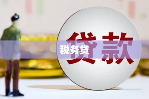 兴安税务贷
