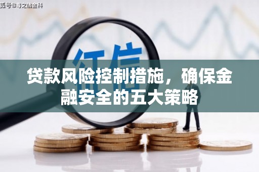 兴安贷款风险控制措施，确保金融安全的五大策略