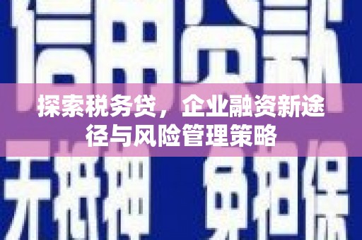 兴安探索税务贷，企业融资新途径与风险管理策略