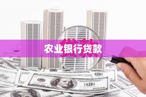 兴安农业银行贷款