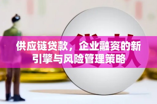 兴安供应链贷款，企业融资的新引擎与风险管理策略