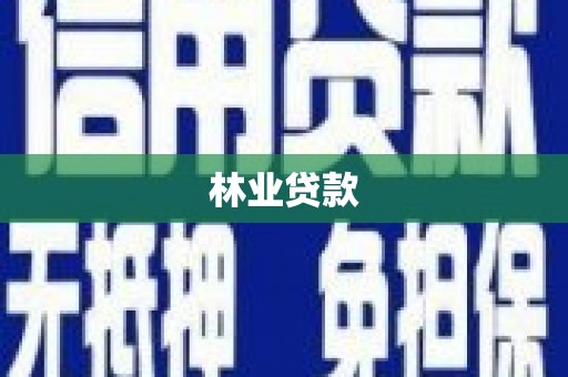兴安林业贷款
