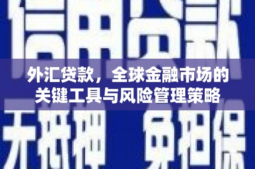 兴安外汇贷款，全球金融市场的关键工具与风险管理策略
