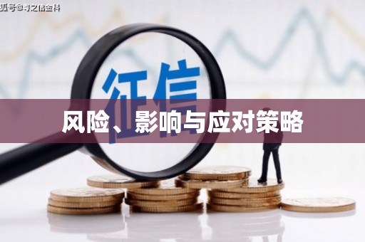 兴安风险、影响与应对策略