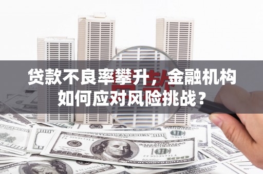 兴安贷款不良率攀升，金融机构如何应对风险挑战？