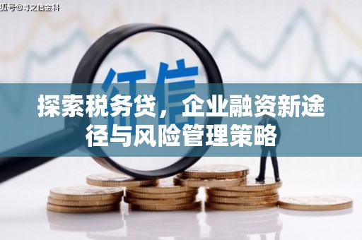兴安探索税务贷，企业融资新途径与风险管理策略