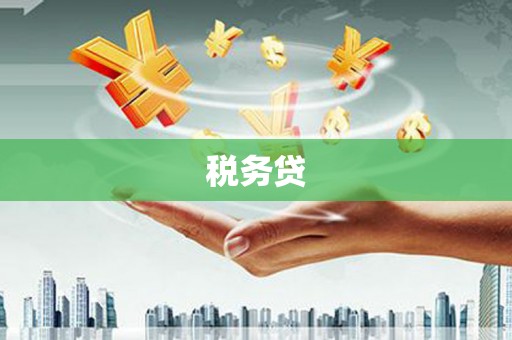 兴安税务贷