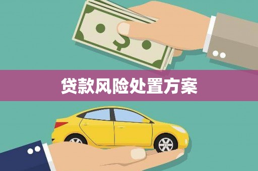 兴安贷款风险处置方案