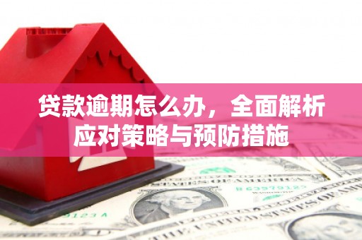 兴安贷款逾期怎么办，全面解析应对策略与预防措施