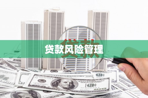 兴安贷款风险管理