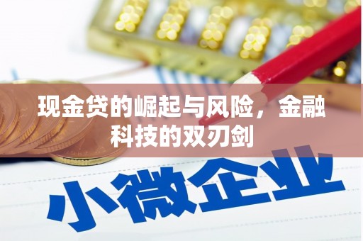 兴安现金贷的崛起与风险，金融科技的双刃剑