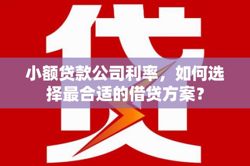 兴安小额贷款公司利率，如何选择最合适的借贷方案？