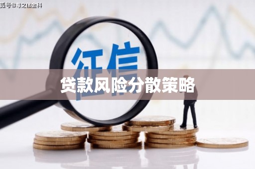 兴安贷款风险分散策略