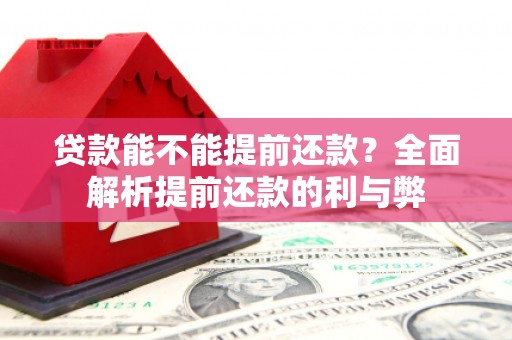 兴安贷款能不能提前还款？全面解析提前还款的利与弊