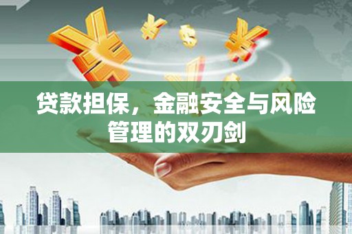 兴安贷款担保，金融安全与风险管理的双刃剑