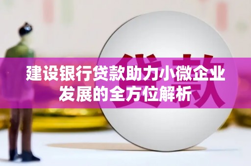 兴安建设银行贷款助力小微企业发展的全方位解析