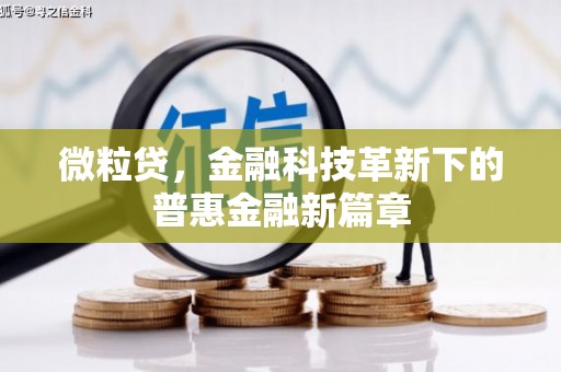 兴安微粒贷，金融科技革新下的普惠金融新篇章
