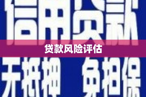 兴安贷款风险评估