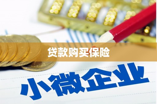 兴安贷款购买保险