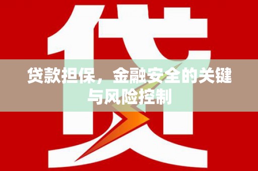 兴安贷款担保，金融安全的关键与风险控制
