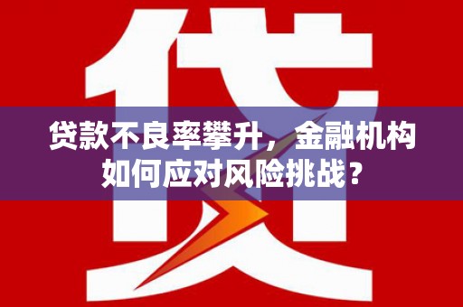 兴安贷款不良率攀升，金融机构如何应对风险挑战？