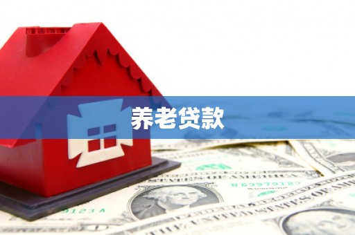 兴安养老贷款