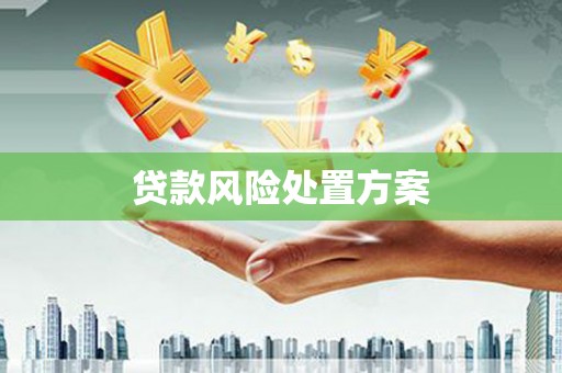 兴安贷款风险处置方案